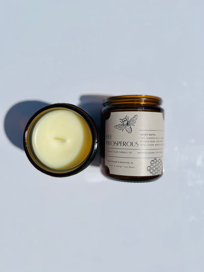 Bee Prosperous Candle + Wax Melt Bundle